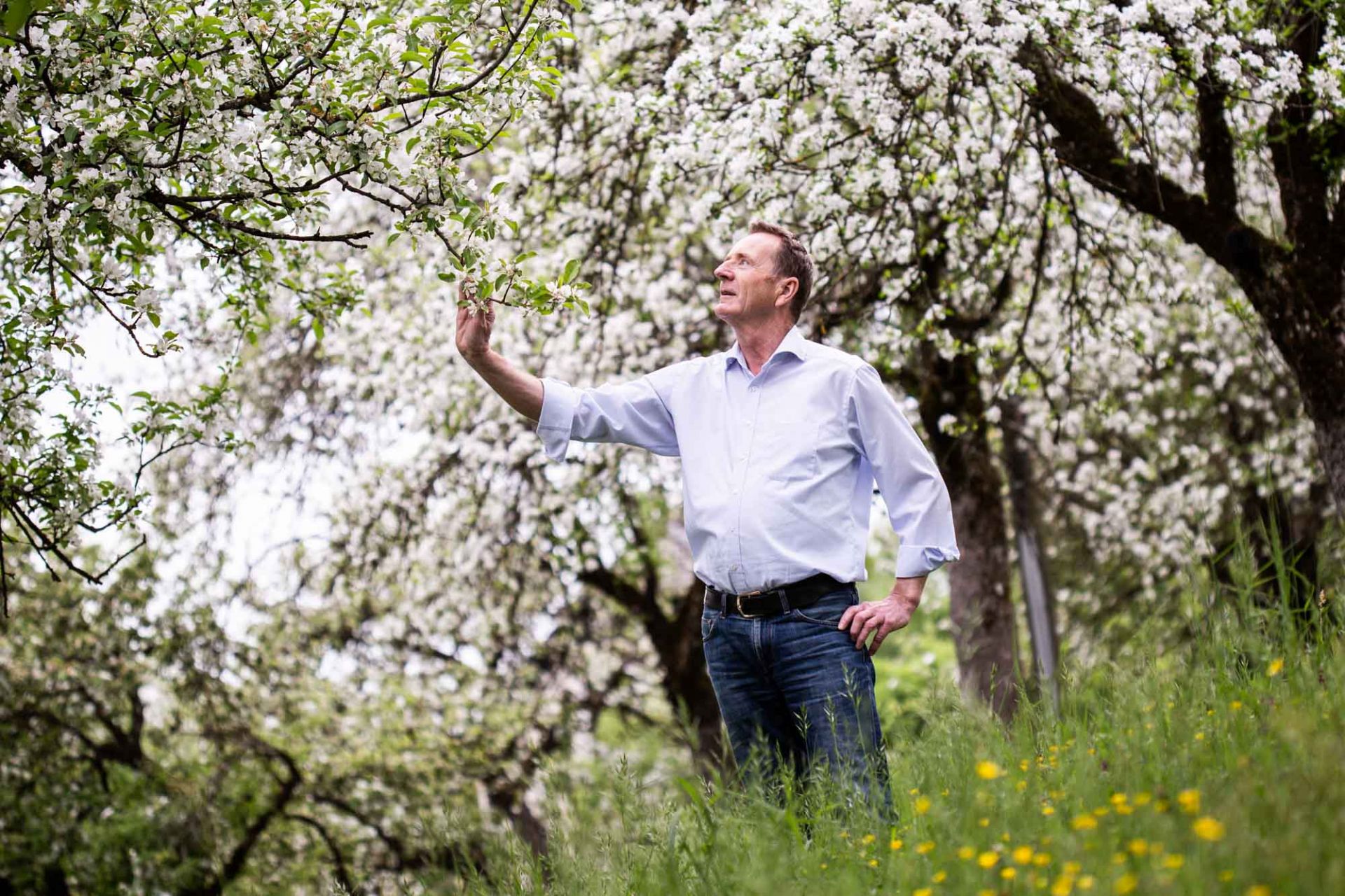 Valentin Latschen bei der Begutachtung seiner Obstbäume - Pfau Brennerei